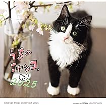 Amazon.co.jp: オレンジページ うちのニャンコ。壁掛カレンダー2025