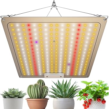 Amazon.co.jp 人気ギフトランキング: 植物育成ライト器具 で、ギフトの