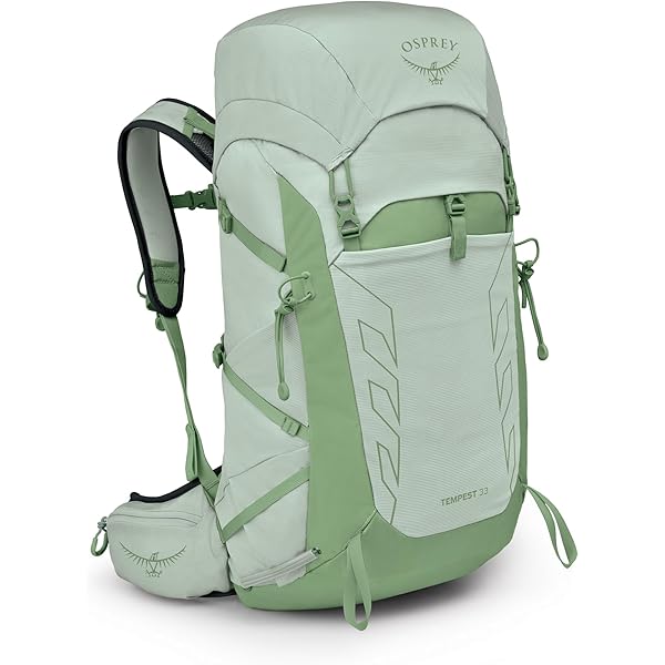 【オスプレー】 P30 ( ヘイベイルグリーン)　ss オスプレー】 P30 ( ヘイベイルグリーン) ss様専用 - メルカリ