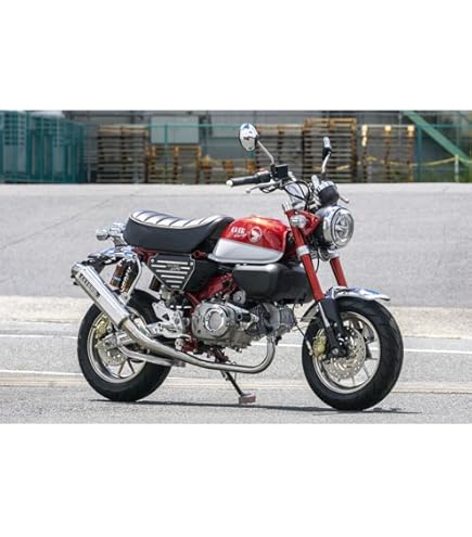 Amazon | オーヴァーレーシング(OVERRACING) マフラー TT