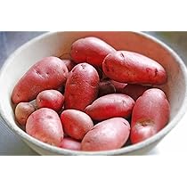 Amazon.co.jp: 北海道剣淵産 デストロイヤー（M～L混）5Kg 北海道産