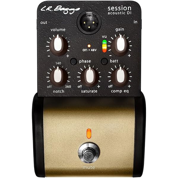 Amazon.co.jp: L.R.Baggs Align Series Session アコギ用スタジオ