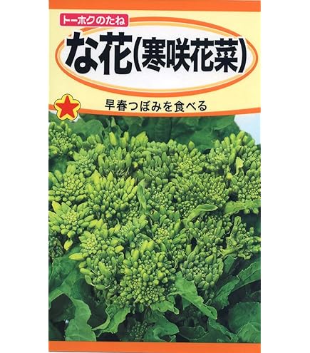 Amazon | タキイ種苗 冬華菜花 | 野菜