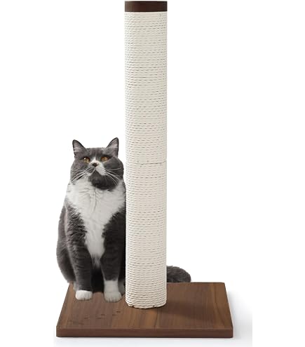 Amazon.co.jp: ペットアイ 爪とぎタワー サボテン フラワー 57×57×高さ