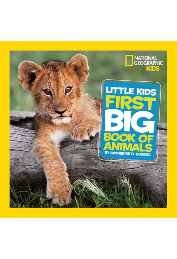 専用　Little Kids' First Big Book of など7冊 Amazon | National Geographic Little Kids First Big Book of Why