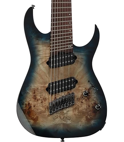 Amazon | IBANEZ RGDMS8-CSM Axe Design Lab Classic Silver Mat 8弦