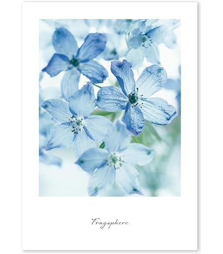 Amazon.co.jp: ZXHYWYM ヒマワリ 写真 黄色い花 ウォールアート 咲く