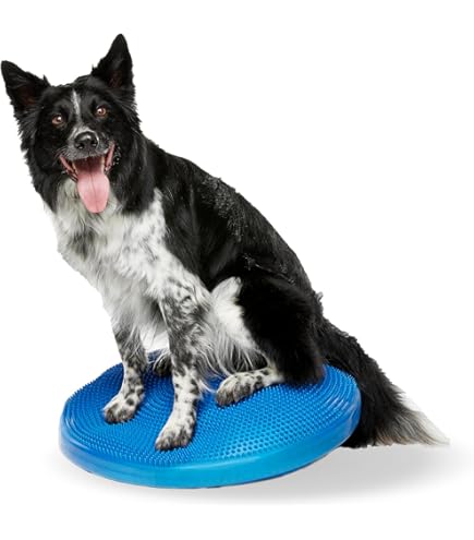 Amazon | Mini FitPAWS® K9FITbone CanineGym® ドッグバランス