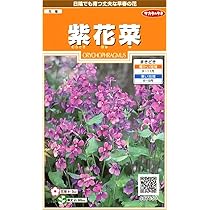 Amazon | タキイ種苗 紫花菜紫花菜 | 花