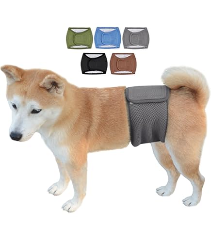Amazon.co.jp: ペットパラダイス 犬 マナーベルト リサとガスパール