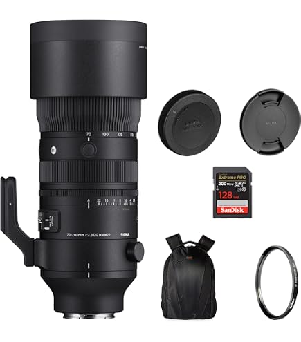 Sony FE 70-200mm F4 Macro G OSS II : Amazon.sg: Electronics