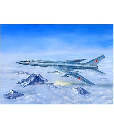 Amazon.co.jp: トランペッター 1/72 Su-15 TM フラゴンF プラモデル  