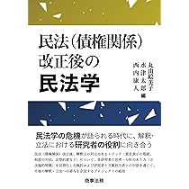 民法（債権関係）改正後の民法学 | 丸山 絵美子, 水津 太郎, 西内 康人
