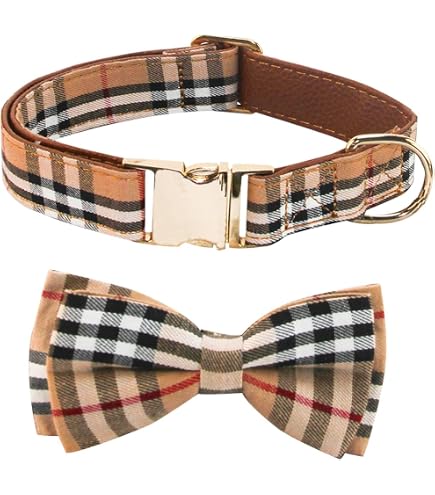 cat leash Cat Leash