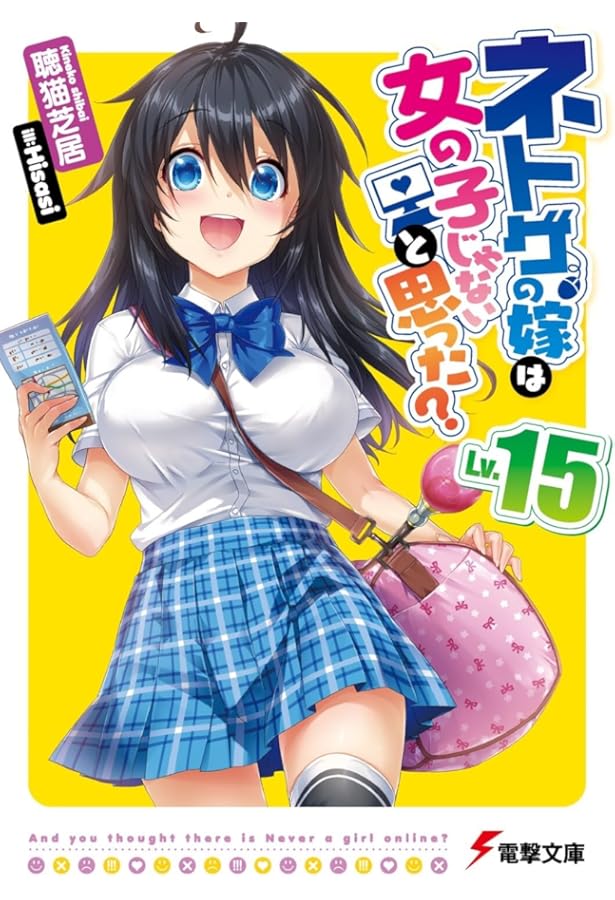 Amazon.co.jp: ネトゲの嫁は女の子じゃないと思った? Lv.17 (電撃文庫