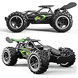 Sagreeny RC Cars G3063R 1:18 Scale 2.4Ghz High Speed Remote Control Car, 15-20 km/h High Speed Racing RC Truck Electric Toy C