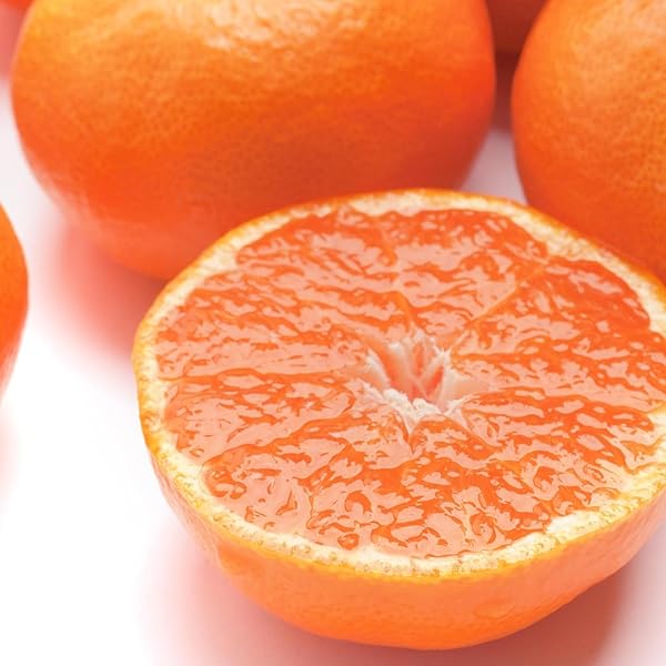 Amazon.co.jp: 熊本・福岡産 シトラス21みかん S/2Sサイズ 約5kg