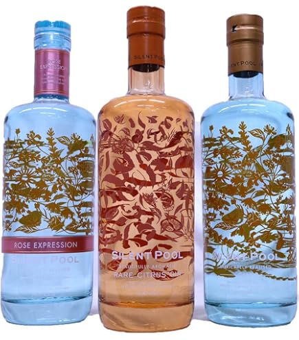 サイレントプール 10th アニバーサリー セレブレーション エディション サイレントプール 10th アニバーサリー セレブレーションエディション