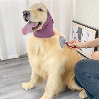 The most popular items in Hats for Dogs