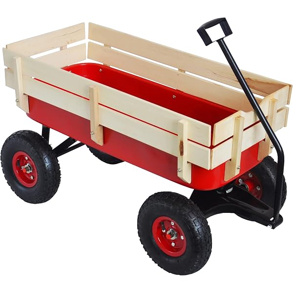 Amazon.co.jp: Radio Flyer(ラジオフライヤー) My 1st ミニチュア