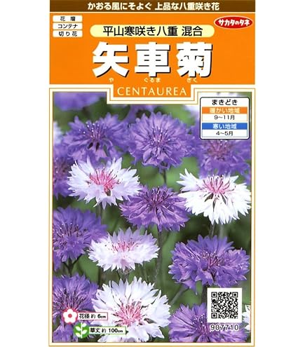 Amazon.co.jp: 白花除虫菊 種 200粒 花種 虫除けハーブ 蚊取り線香