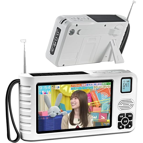 Amazon.co.jp: ワンセグ受信アダプタ DSテレビ : Video Games