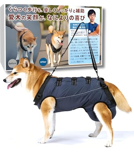 中型犬•コーギー用 補助ハーネス LaLaWalk （シニア 介護） Amazon | With(ウィズ) 歩行補助ハーネス LaLaWalk 中型犬・コーギー用