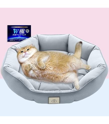 Amazon | ペティオ (Petio) 犬猫用ベッド ひんやりサマーベッドHNZ