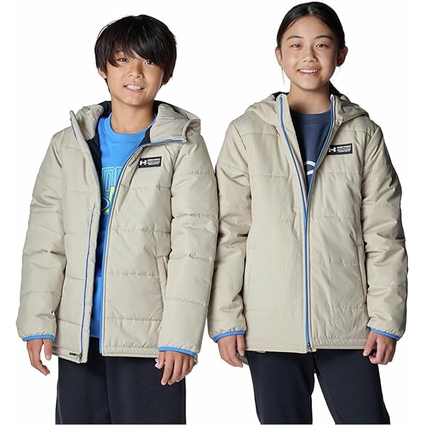 Amazon | [Under Armour] UA INSULATED FULL ZIP JACKET 1388289(289