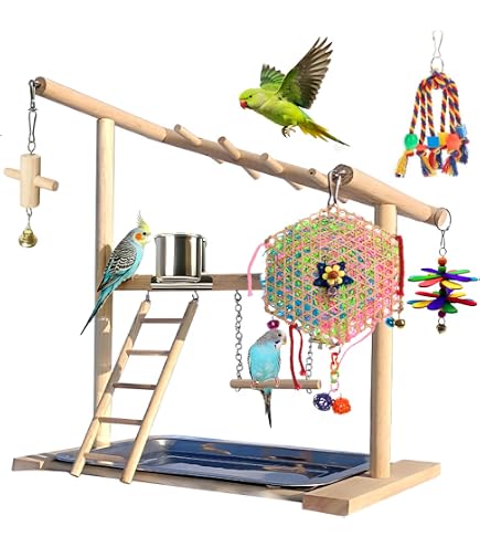 Kaytee EZ Care T Stand Medium : Amazon.com.au: Pet Supplies