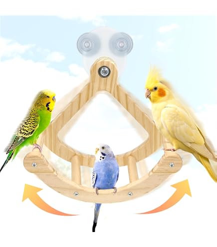 Amazon | 鳥の窓/浴室/車/旅行用止まり木スタンド 吸盤付き 小中鳥