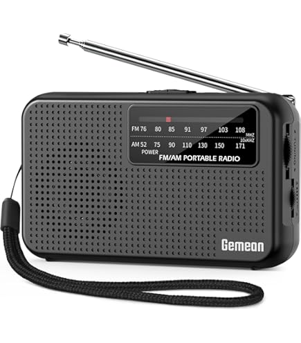 Amazon.co.jp: SONY FMラジオ ICF-T45 : 家電＆カメラ