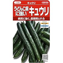 Amazon.co.jp: ナス 種子 とげなし千両二号 中長 なす 35粒