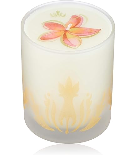 Amazon.co.jp: Malie Organics(マリエオーガニクス) ソイキャンドル