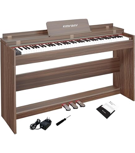 CASIO LK-208 電子ピアノ 音ナビゲーション Amazon | CASIO 光ナビゲーションキーボード 61鍵 標準ピアノ