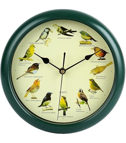 Amazon.co.jp: 鳥の鳴き声時計 Mark Feldstein Original Singing Bird