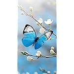 チョウ(蝶) iPhoneSE/5s/5c/5 壁紙 視差効果 Schmetterlinge 2023: Kalender チョウ(蝶) iPhoneSE/5s/5c/5 壁紙 視差効果 Schmetterlinge 2023: Kalender