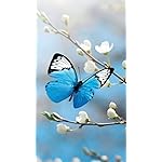 チョウ(蝶) QHD(540×960)壁紙 Schmetterlinge 2023: Kalender チョウ(蝶) QHD(540×960)壁紙 Schmetterlinge 2023: Kalender