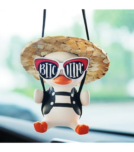 Amazon.co.jp: スイングダックカーハンギングオーナメント2個