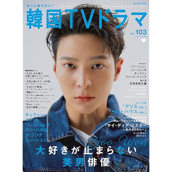 もっと知りたい! 韓国TVドラマvol.102 (メディアボーイMOOK) |本