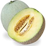 メロン 完熟 高級 徳秀A ※野菜ソムリエ監修メロン 熨斗対応可能 1玉 約1~1.3kg (アンデスメロン（青肉）)