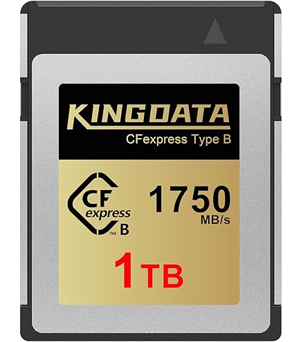 Angelbird 1TB AV PRO CFexpress 2.0 Type B SE Memory Card : Amazon