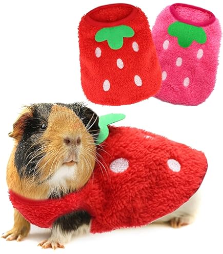 モルモット Amazon | [レインボー]モルモット用ウエアブンブンみつばち M