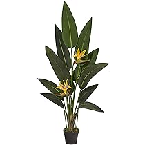 Amazon｜Nearly Natural 人工樹木 金のなる木 ホワイト