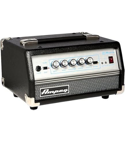 Amazon | AMPEG スピーカーキャビネット SVT-210AV | ベース