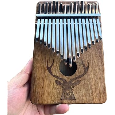 Amazon.co.jp 最新リリース: パーカッション・打楽器 の新着ランキング