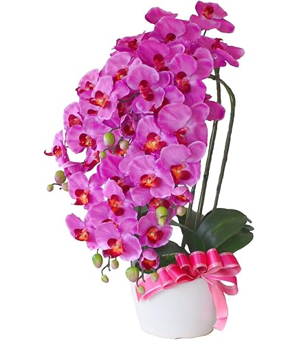 Amazon｜光の楽園 フェイクグリーン 造花 フレッシュ胡蝶蘭3本立W