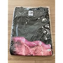 スピッツ 8823 ハヤブサ 隼 Tシャツ Mサイズ ジャケット ジャケT レア 51t4GbWJHgL._AC_SX425_.jpg