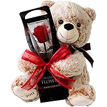 ✨1点限定✨ プリザーブドフラワー クマ 一輪の薔薇 レッド プレゼント 71JQjeIEDkL._AC_UL210_SR210,