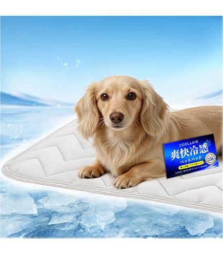 Coleman　ひんやりマット　犬　ペット　冷却 Amazon.co.jp: Coleman 快適冷却ジェルペットパッドマット L 50.8cmx36